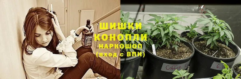 купить наркотик  Дно  МАРИХУАНА Ganja 